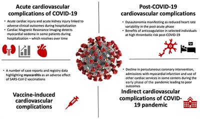 Frontiers | Editorial: Post-COVID-19 Cardiovascular Sequelae